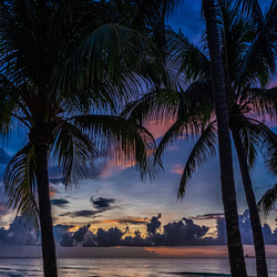 Similar image 21301955