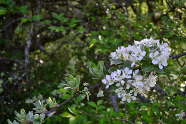 Similar image 21304381