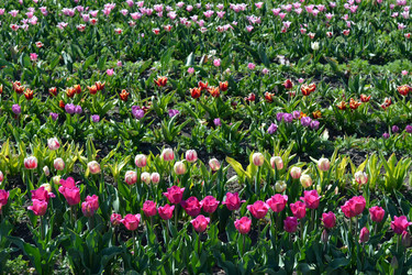 Similar image 21304383