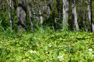 Similar image 21304384