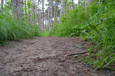 Similar image 21304385