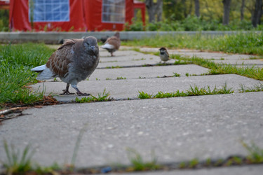 Similar image 21304387