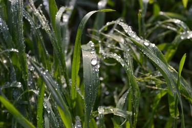 Similar image 21304388