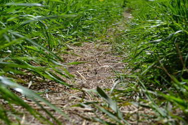 Similar image 21304390