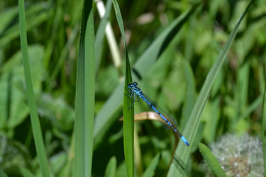 Similar image 21304391