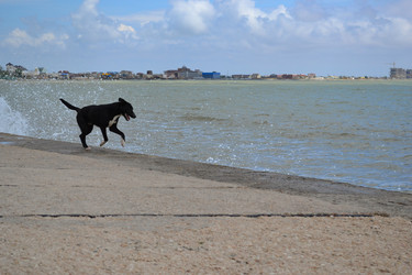 Similar image 21304392