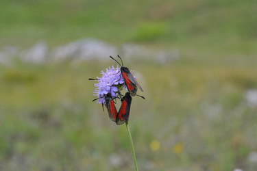 Similar image 21304393