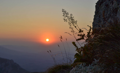 Similar image 21306715