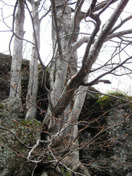 Similar image 21306744