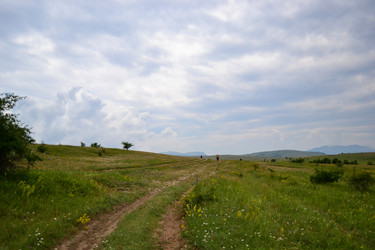 Similar image 21306746