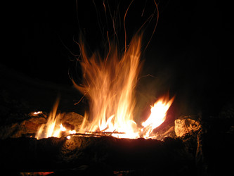 Similar image 21306747