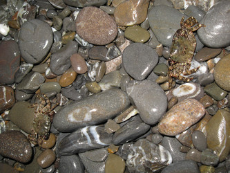 Similar image 21306750