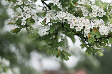 Similar image 21338554