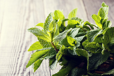 Similar image 21309748