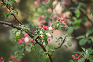 Similar image 21339030