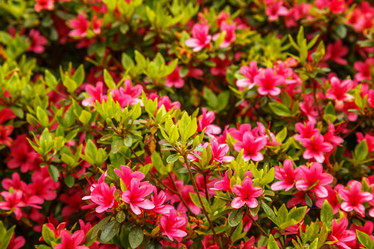 Similar image 21309839