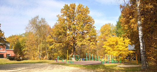 Similar image 21338911