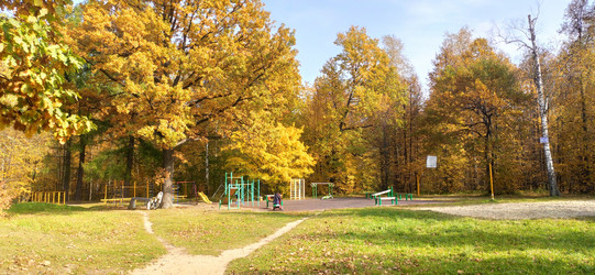 Similar image 21338912