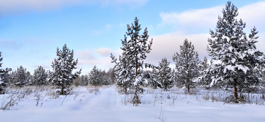 Similar image 21339033