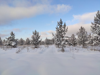 Similar image 21339035