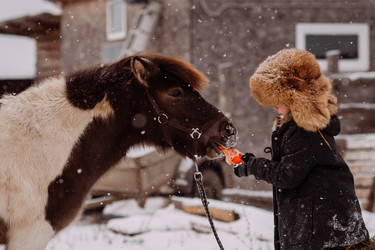 Similar image 21338516