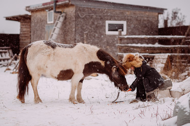 Similar image 21338556