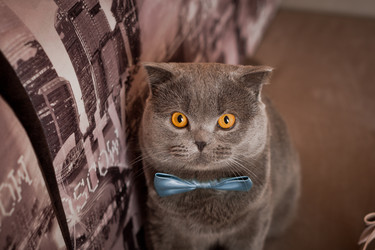 Similar image 21338674