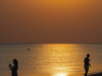 Similar image 21303757