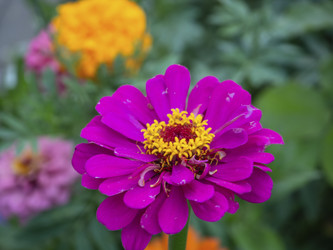 Similar image 21303758