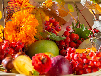 Similar image 21303761