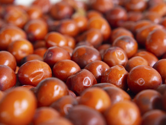 Similar image 21303901