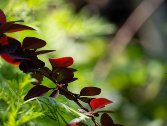 Similar image 21303906