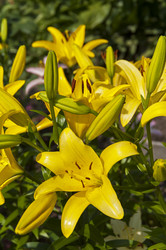 Similar image 21303911