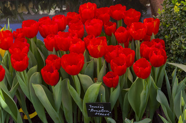 Similar image 21303912