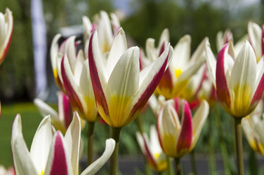 Similar image 21303913