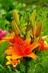 Similar image 21303914