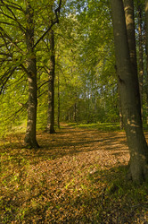 Similar image 21303915