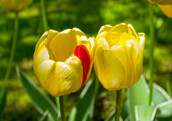 Similar image 21303916