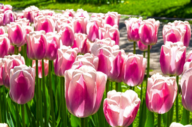 Similar image 21303917