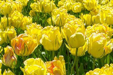 Similar image 21303919