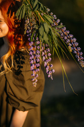 Similar image 21342511