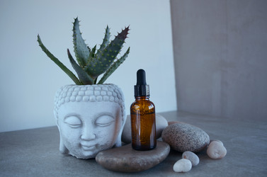 Similar image 21304086