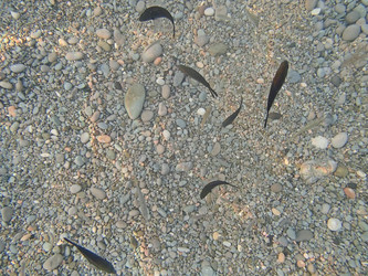 Similar image 21306083