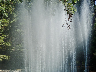 Similar image 21306834