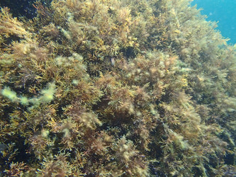 Similar image 21306084