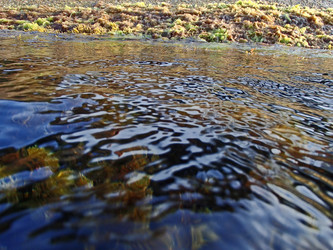 Similar image 21306085