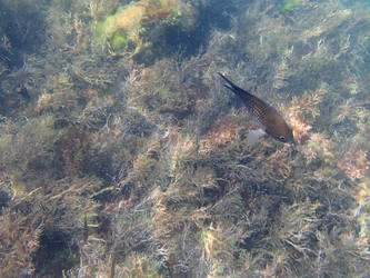 Similar image 21306093