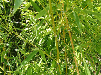 Similar image 21306095