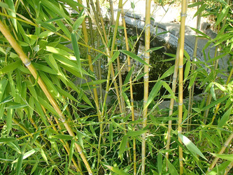 Similar image 21307060