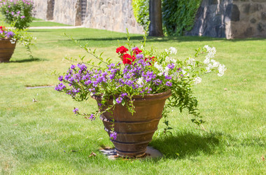 Similar image 21321040